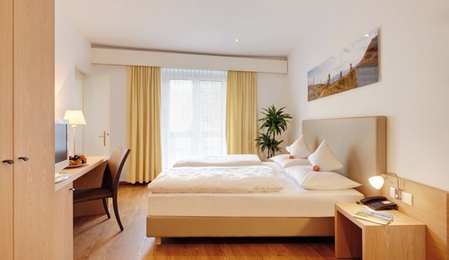 Habitación clásica con 1 cama doble o 2 individuales