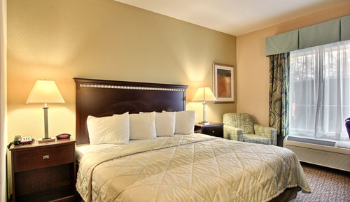 Habitación estándar, 1 cama de matrimonio grande, no fumadores
