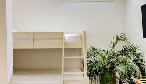 The Skylight semi - basement room