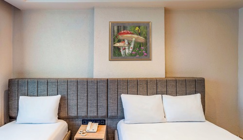 Habitación estándar con 2 camas individuales
