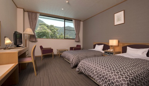 Habitación con 2 camas individuales