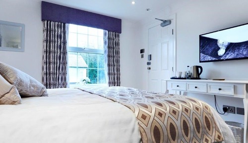 Habitación Premium con 1 cama doble o 2 individuales, baño privado