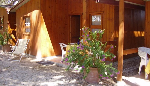 Bungalow clásico, 1 habitación, patio