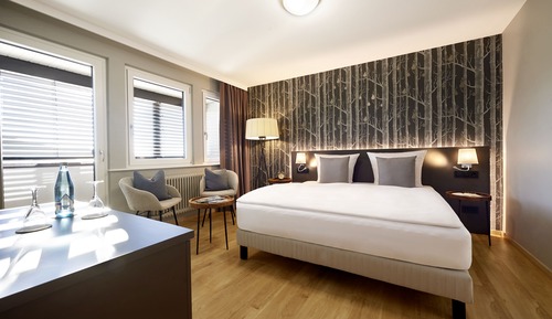 Habitación ejecutiva doble, 1 cama de matrimonio, no fumadores