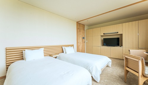 Habitación estándar con 2 camas individuales, varias camas, no fumadores (2 Twin Beds)