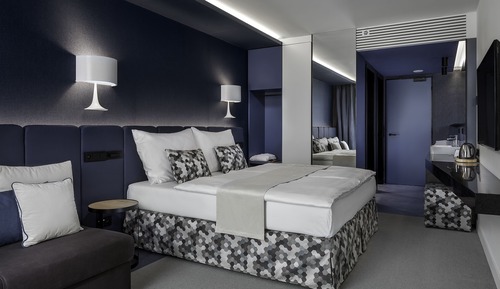 Habitación Deluxe con 1 cama doble o 2 individuales