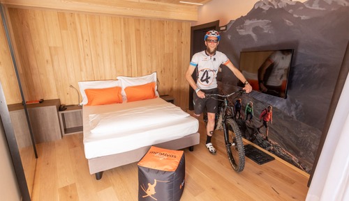 Habitación estándar con 1 cama doble o 2 individuales