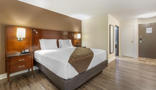 Habitación estándar, 1 cama de matrimonio grande, no fumadores, frigorífico y microondas