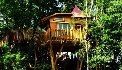 Casa Conforten un árbol