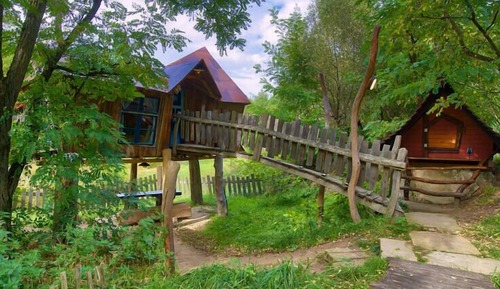 Casa Conforten un árbol