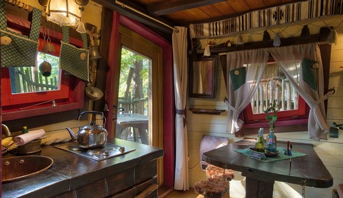 Casa Conforten un árbol