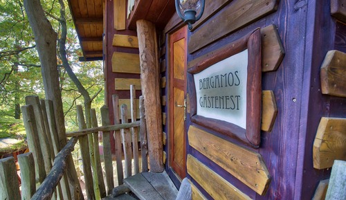 Casa Conforten un árbol