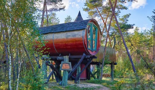 Casa Conforten un árbol
