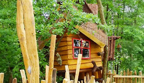 Casa Conforten un árbol