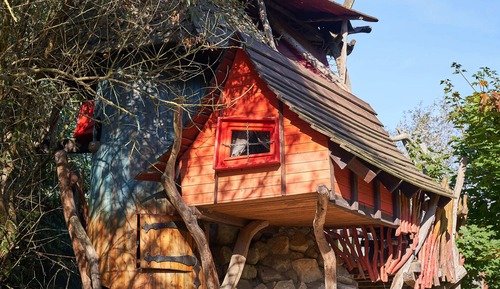 Casa Conforten un árbol