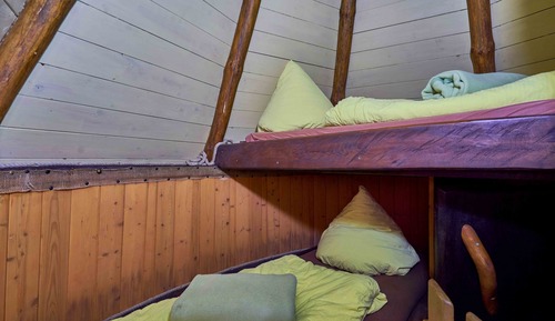 Casa Conforten un árbol