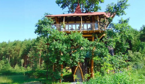 Casa Deluxe en un árbol