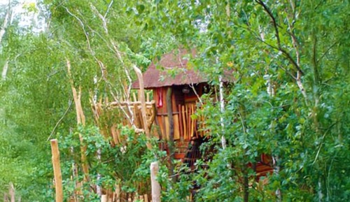 Casa Conforten un árbol, no fumadores, en la zona del jardín
