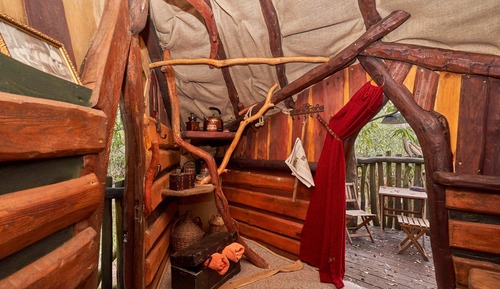 Casa Conforten un árbol