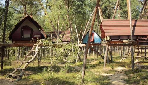 Casa en un árbol básica, 1 cama doble (Vogelbaumhütten)