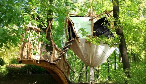 Casa Conforten un árbol