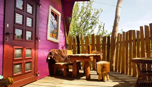 Casa Conforten un árbol