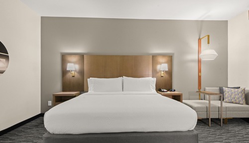 Habitación estándar, 1 cama de matrimonio grande (Communications, Walk-In Shower)