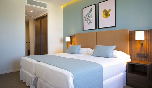 Habitación Deluxe (Superior Twin)