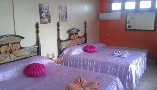 Habitación económica con 2 camas individuales