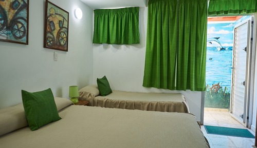 Habitación con 1 cama doble o 2 individuales