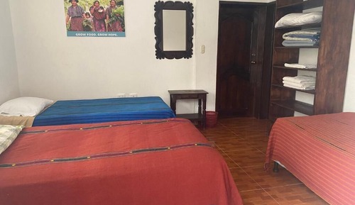 Habitación estándar con 1 cama doble o 2 individuales, 1 cama doble, no fumadores