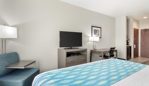 Habitación ejecutiva, 1 cama de matrimonio grande, no fumadores, frigorífico y microondas