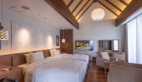 Habitación Premium con 2 camas individuales, no fumadores