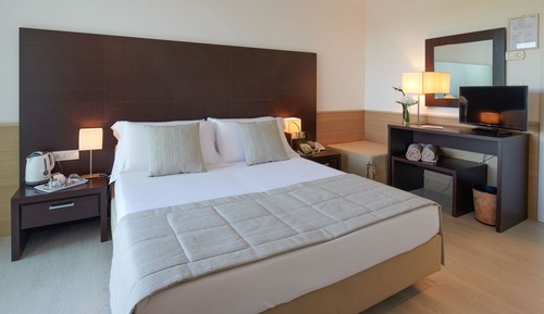 Habitación estándar, 1 cama de matrimonio, vistas al jardín