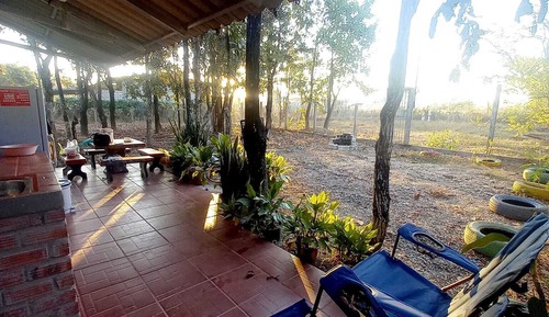 Estudio exclusivo