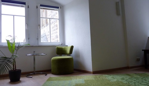 Habitación básica con 1 cama doble o 2 individuales, baño privado, vistas a la montaña (Forsthaus 6)