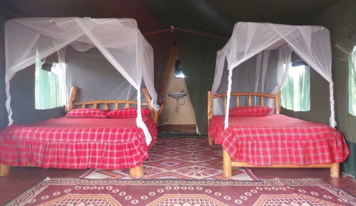 Habitación con 1 cama doble o 2 individuales
