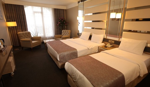 Habitación Deluxe con 1 cama doble o 2 individuales