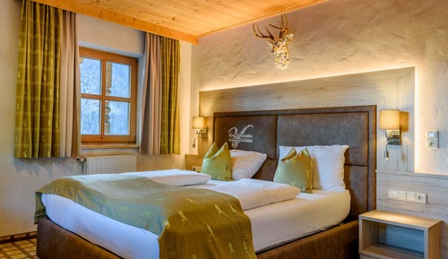 Habitación tradicional, 1 cama de matrimonio, no fumadores, vistas parciales al lago
