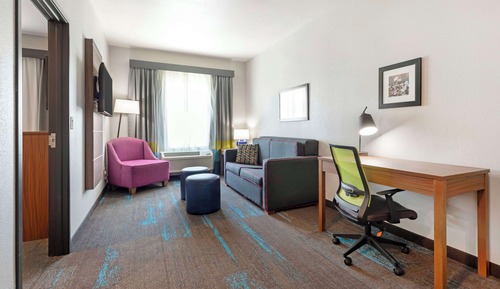Suite, 1 cama de matrimonio grande, no fumadores (with Sofabed)