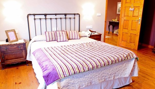Habitación con 1 cama doble o 2 individuales, vistas al jardín