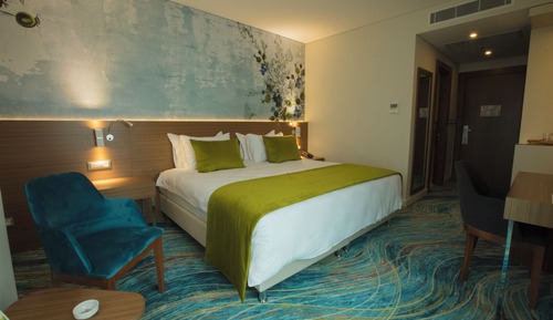 Habitación estándar doble, 1 cama doble