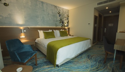 Habitación estándar doble, 1 cama doble