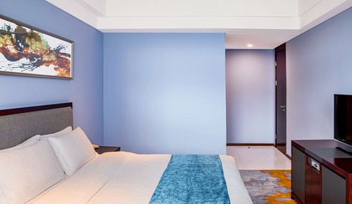 Suite superior, 1 cama de matrimonio grande