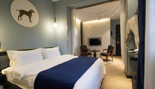 Suite de lujo
