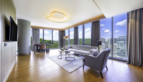 Suite, 1 habitación, vistas a la ciudad (Collection Forest View)