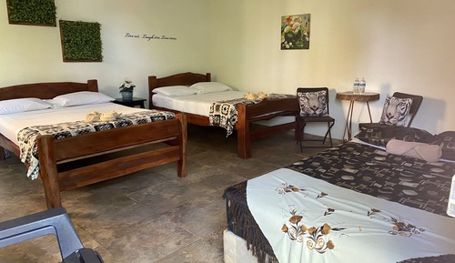 Loft Deluxe, varias camas, no fumadores, vistas al jardín