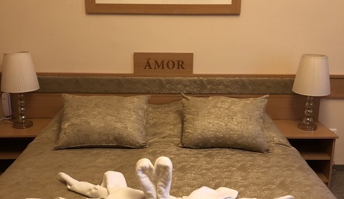 Habitación Premium doble, 1 cama de matrimonio, no fumadores