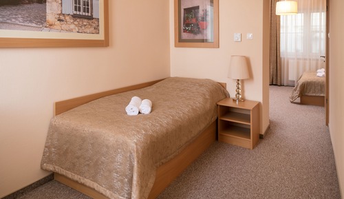Habitación individual Premium, 1 cama de matrimonio, no fumadores