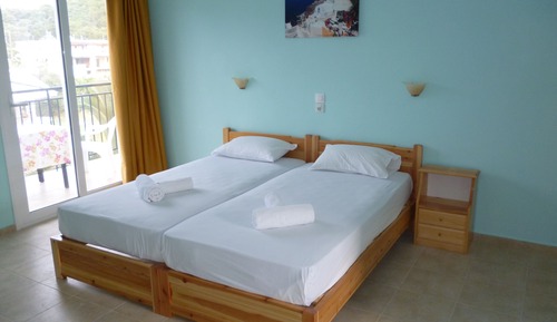 Habitación Premium con 1 cama doble o 2 individuales